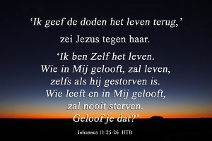 Joh 1126-HTB-01